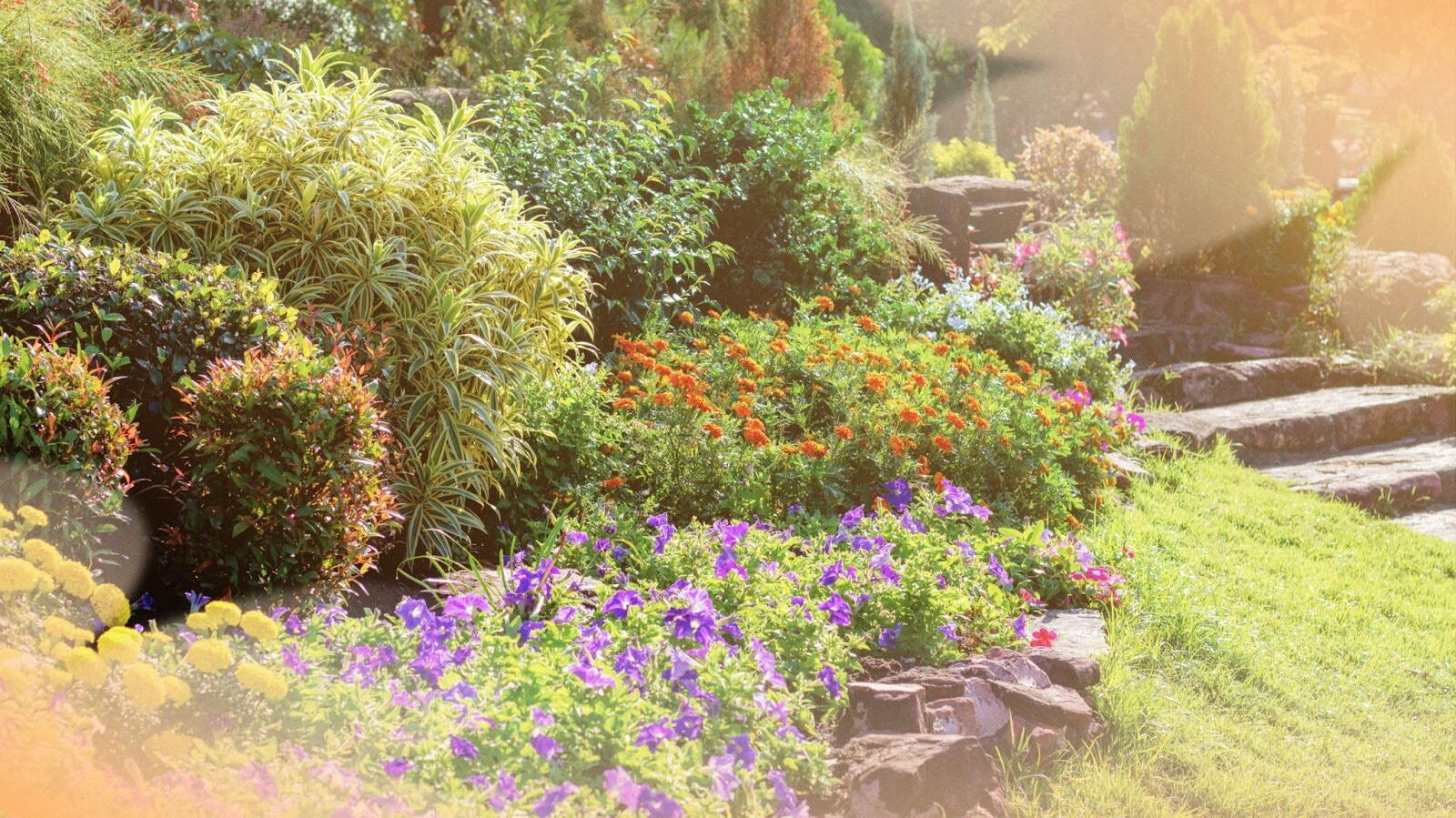 Landscaping and Vegetation at Graves Park