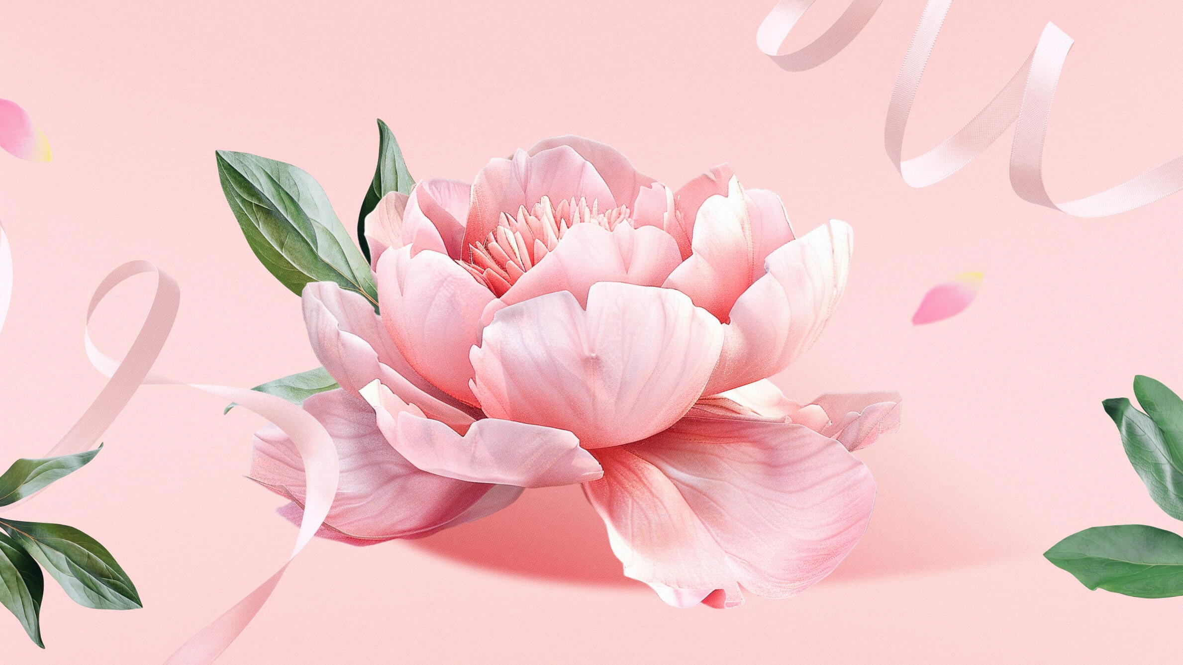 Pictures of peonies
