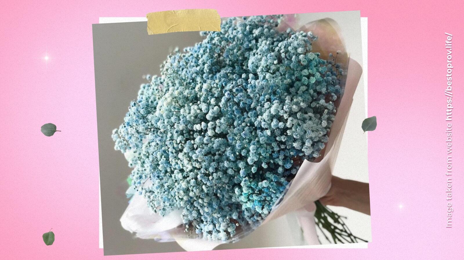 Blue Gypsophila