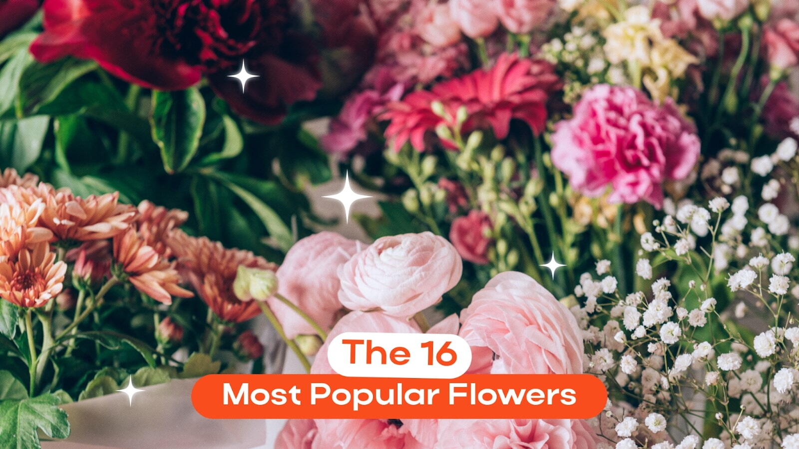 The 16 Most Popular Flowers