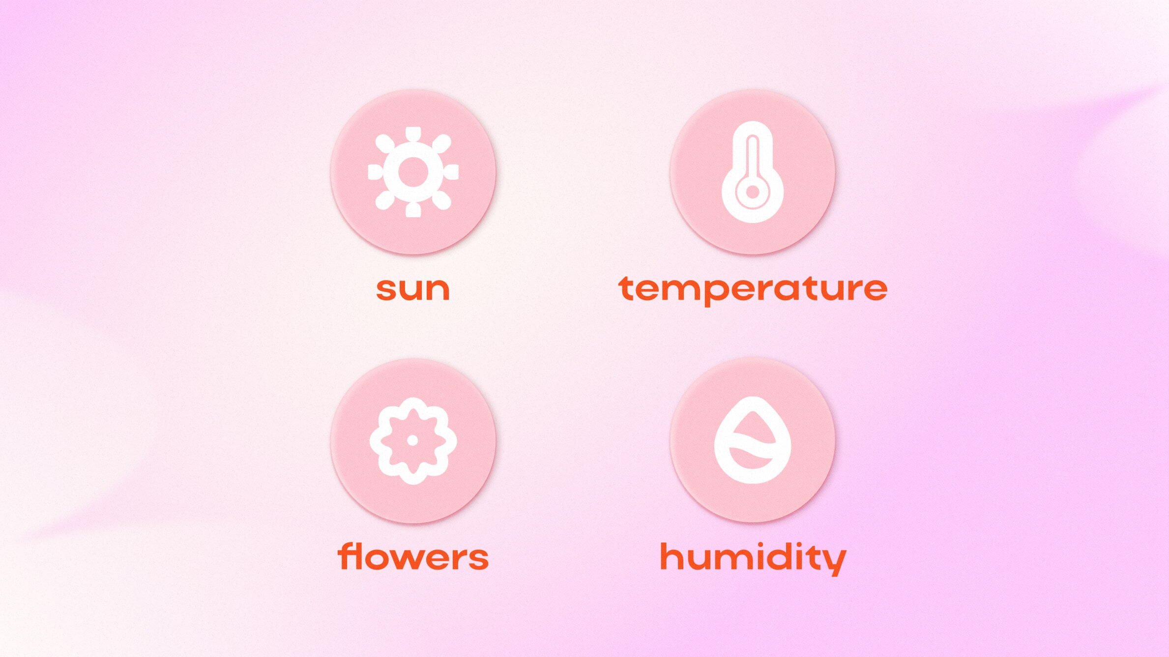 Factors influencing the persistence of flowers devoid of hydration
