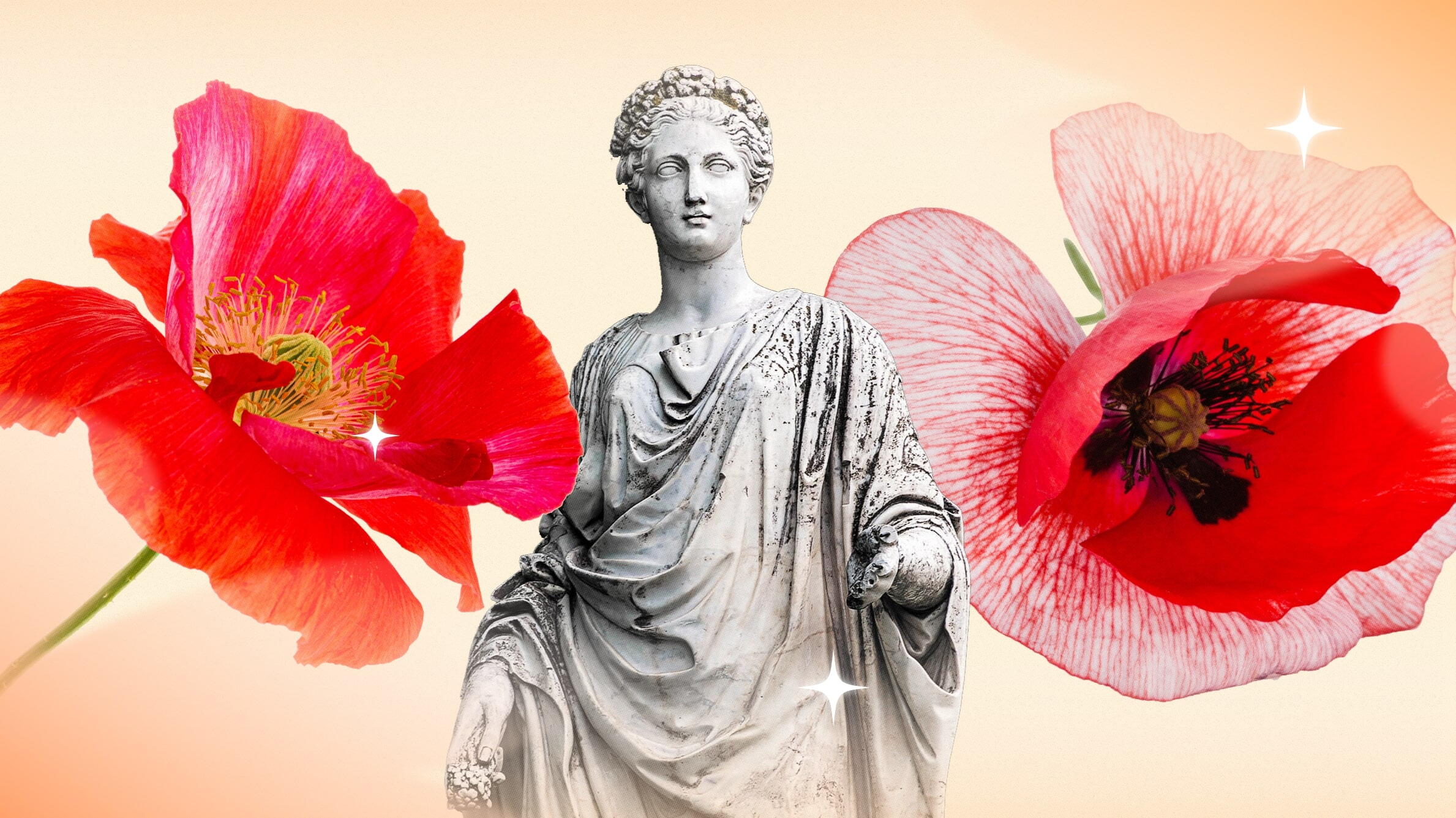 The Cultural Significance of Poppy Flowers