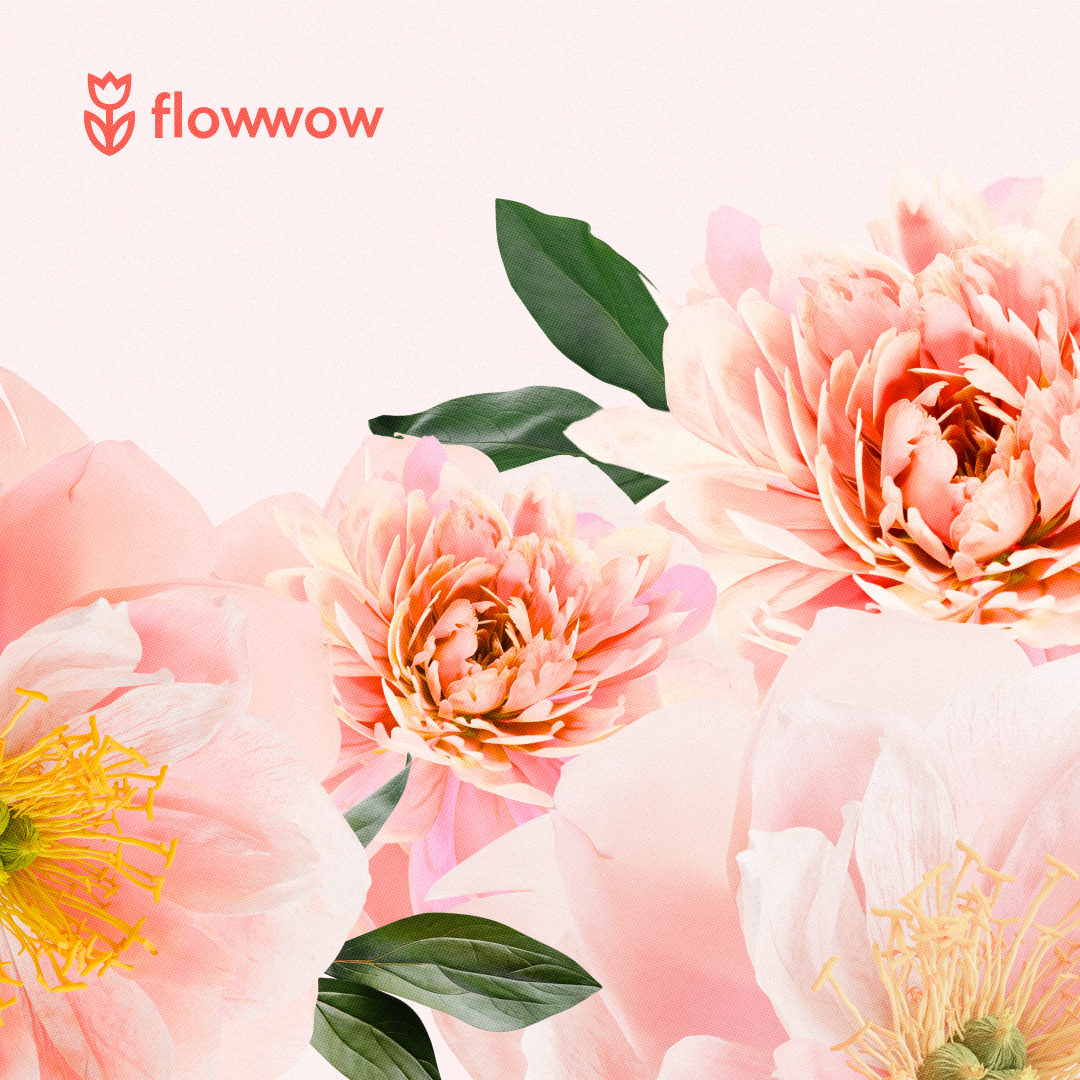 Peony bouquet pictures