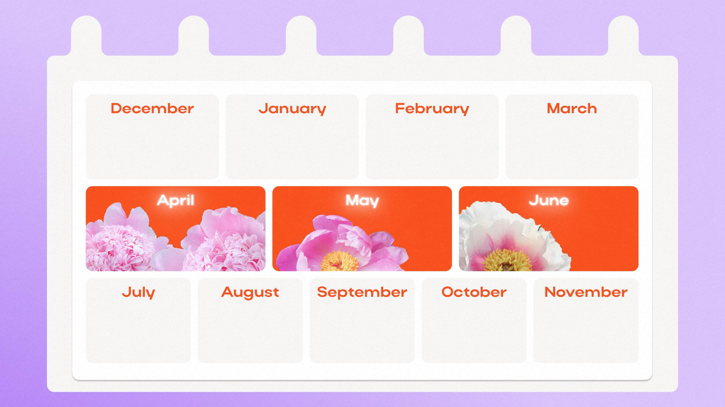 When in peony season in the UK