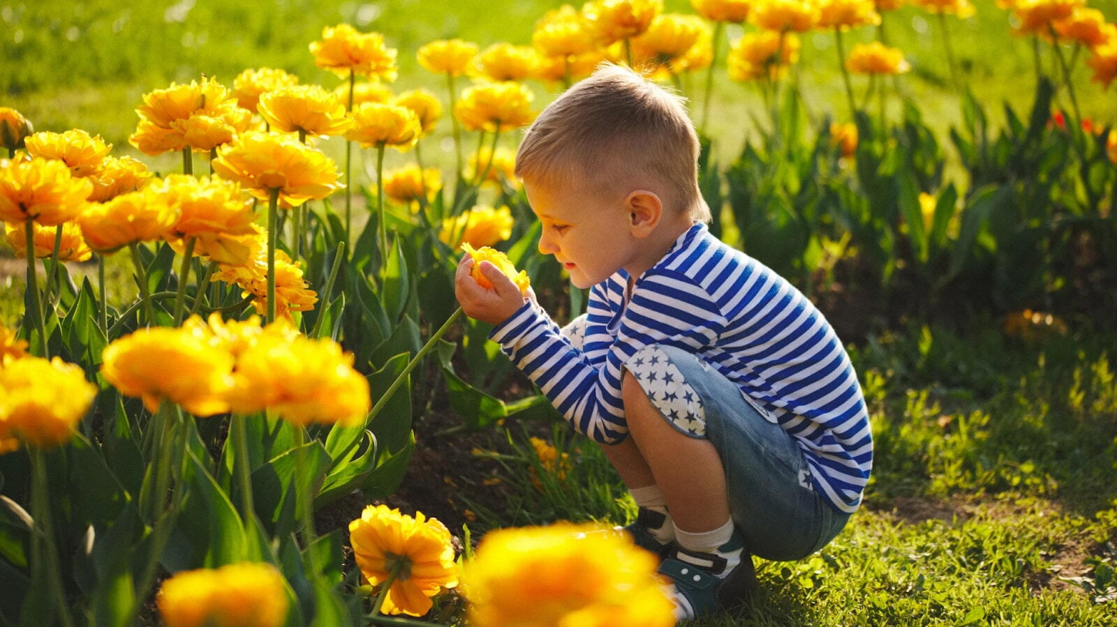 Flower names for boys