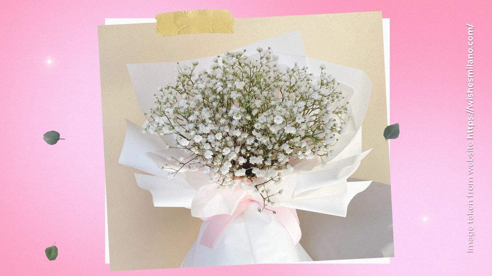 White Gypsophila