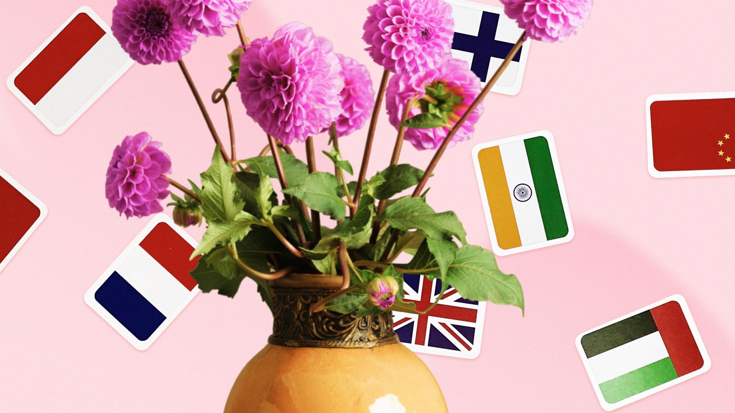 Symbolic Meanings of the Dahlia Flower in Different Languages