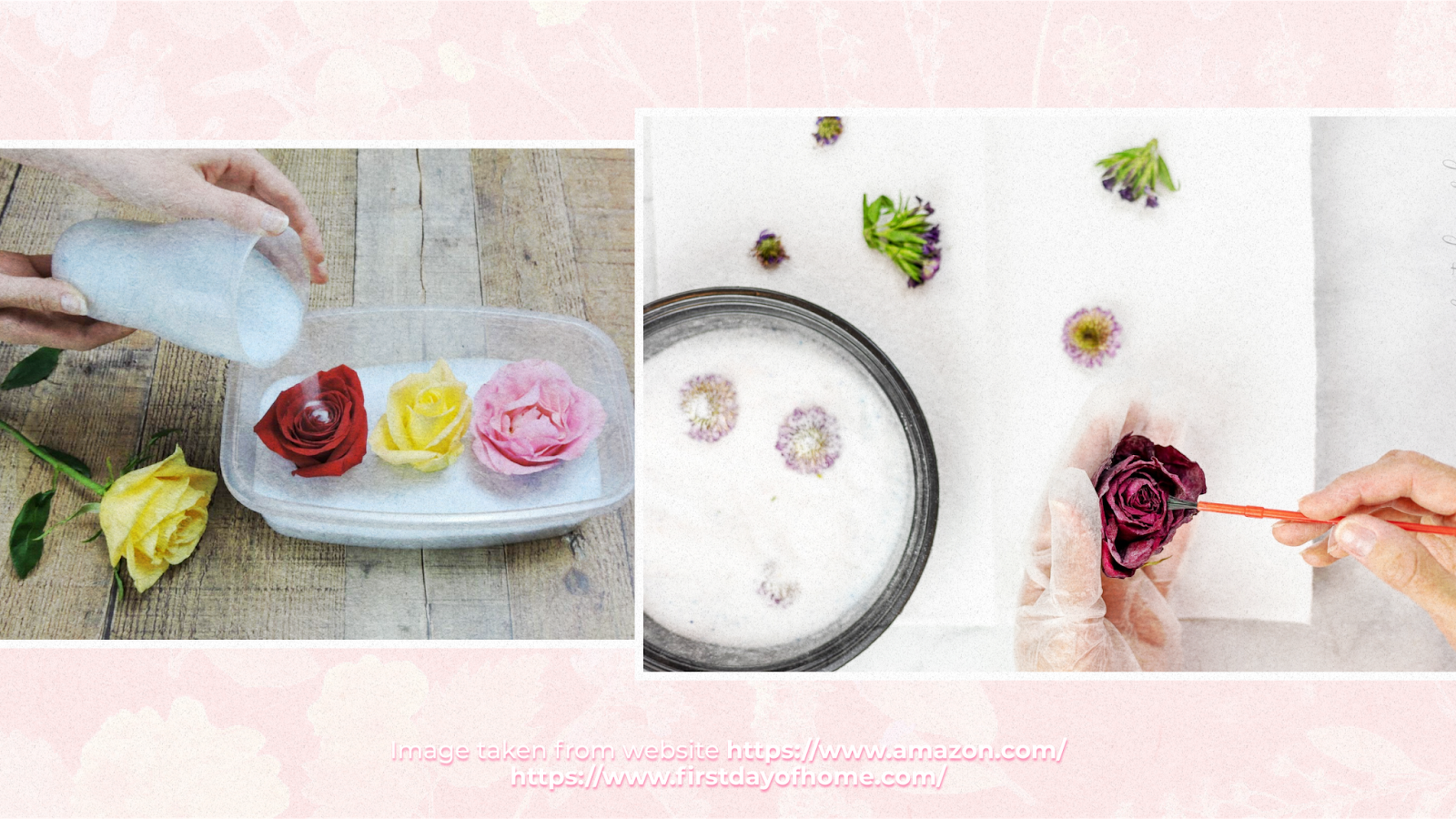 How to dry flowers using a desiccant