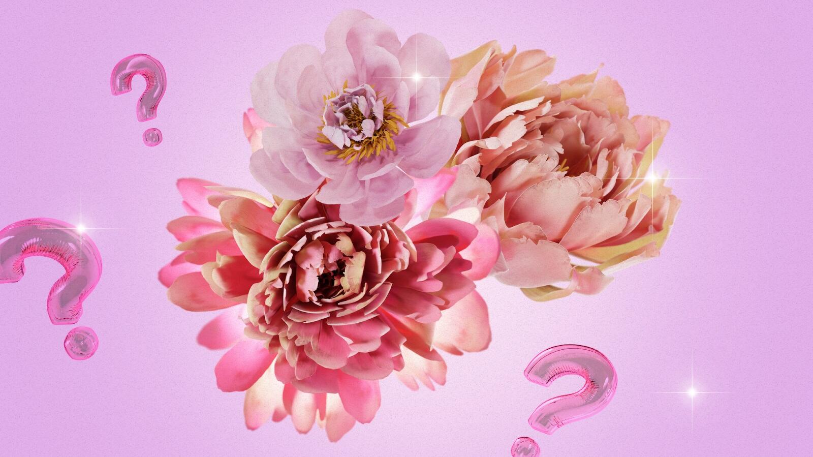 What Do Peonies Symbolise?