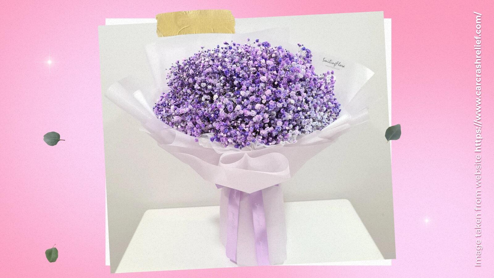 Purple Gypsophila