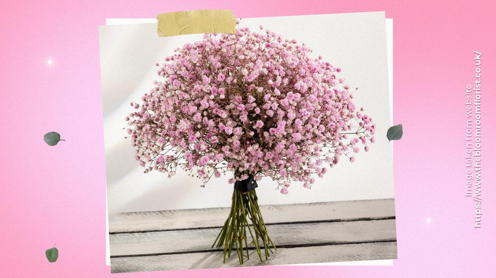 Pink Gypsophila