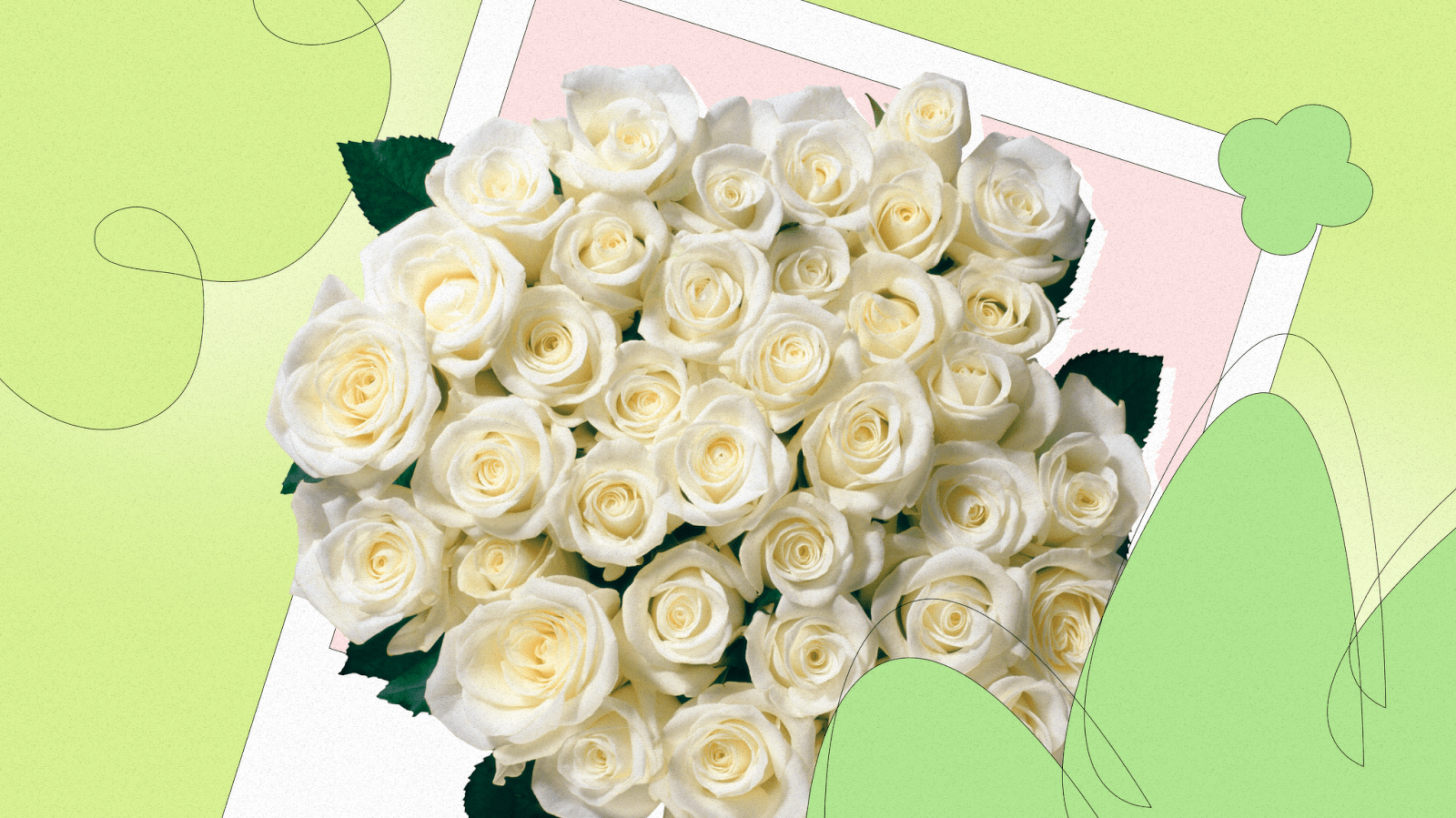 What do white roses mean?