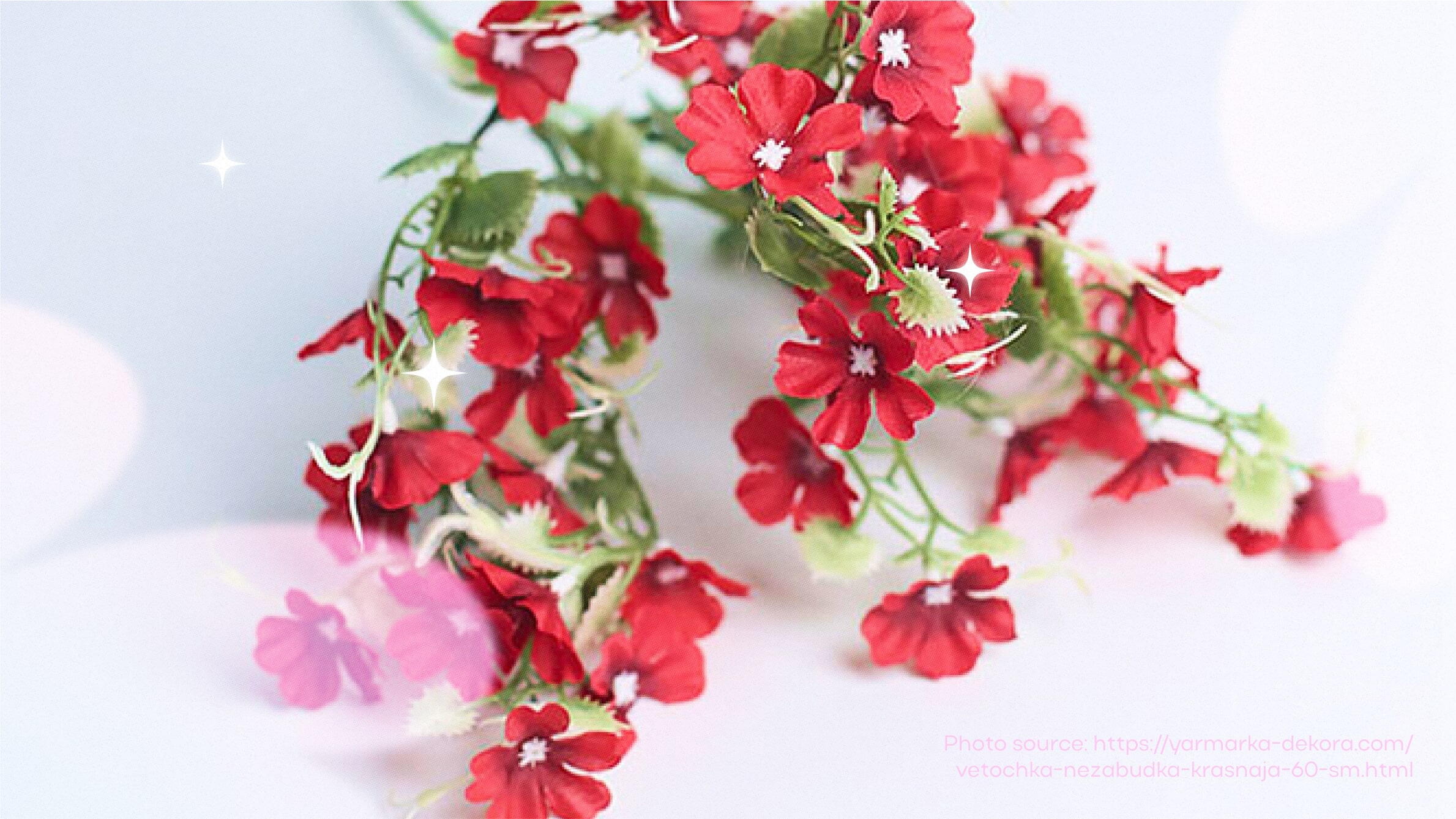 Red forget-me-not flower