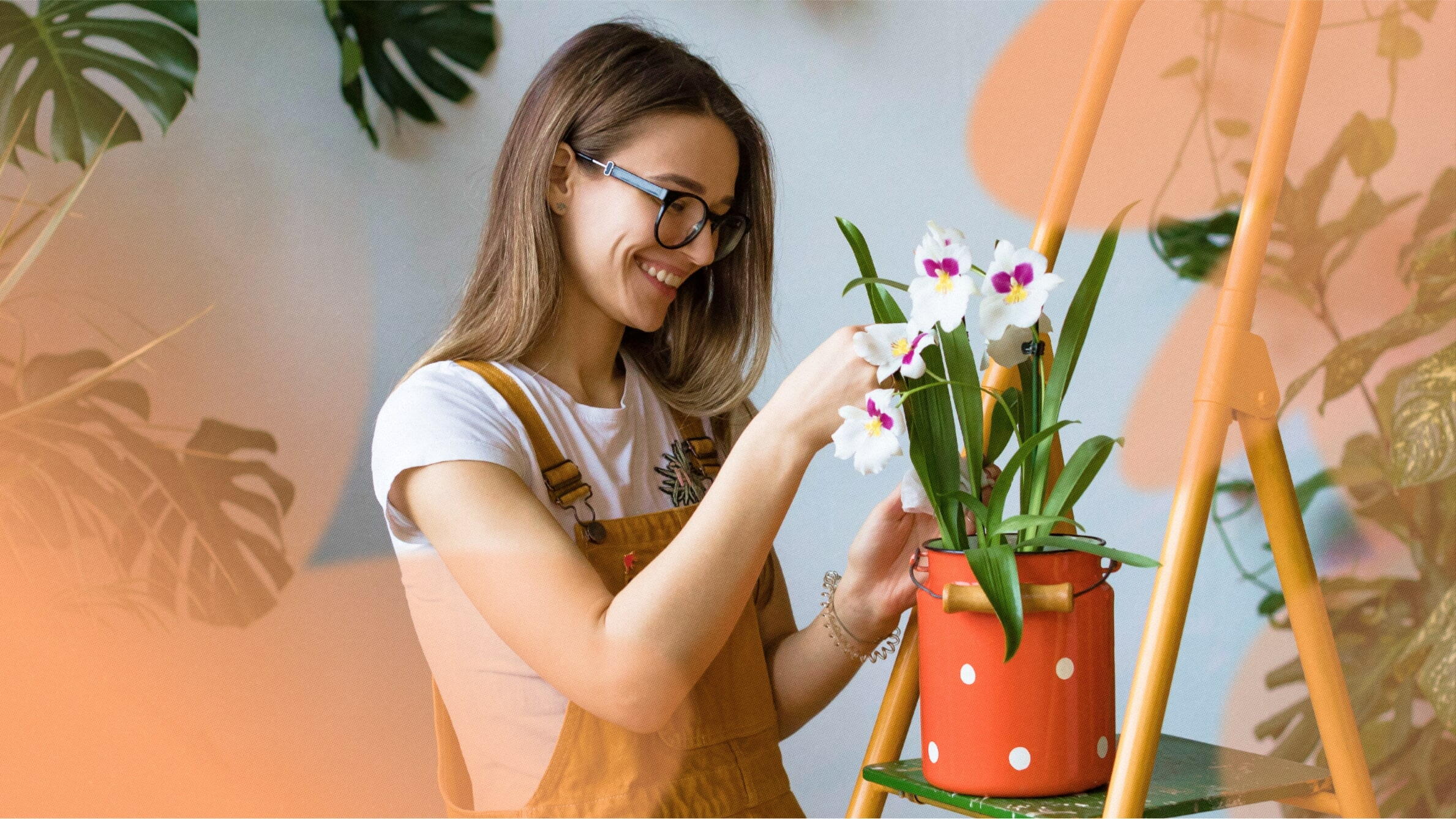 Orchid flower meaning and symbolism