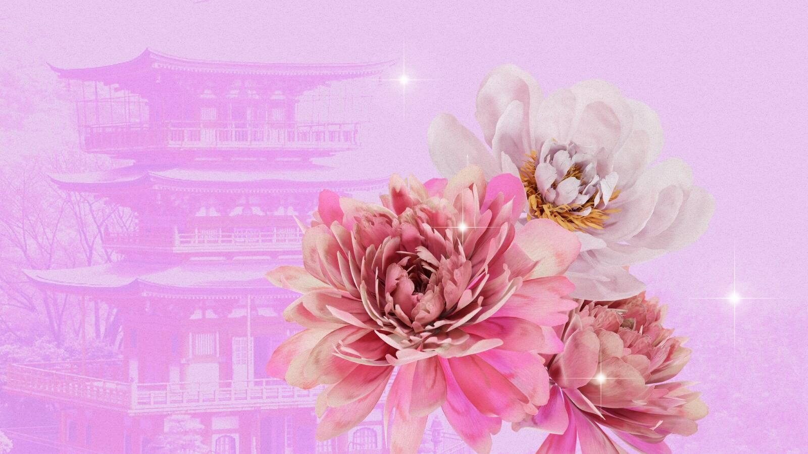 The Peony Flower: Meaning and Symbolism