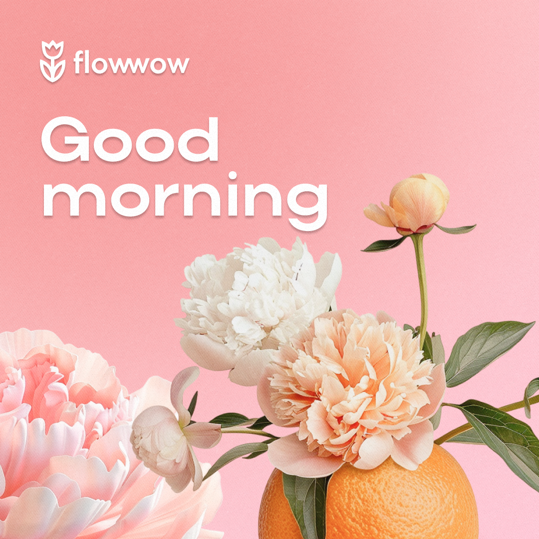 Peony flowers pictures