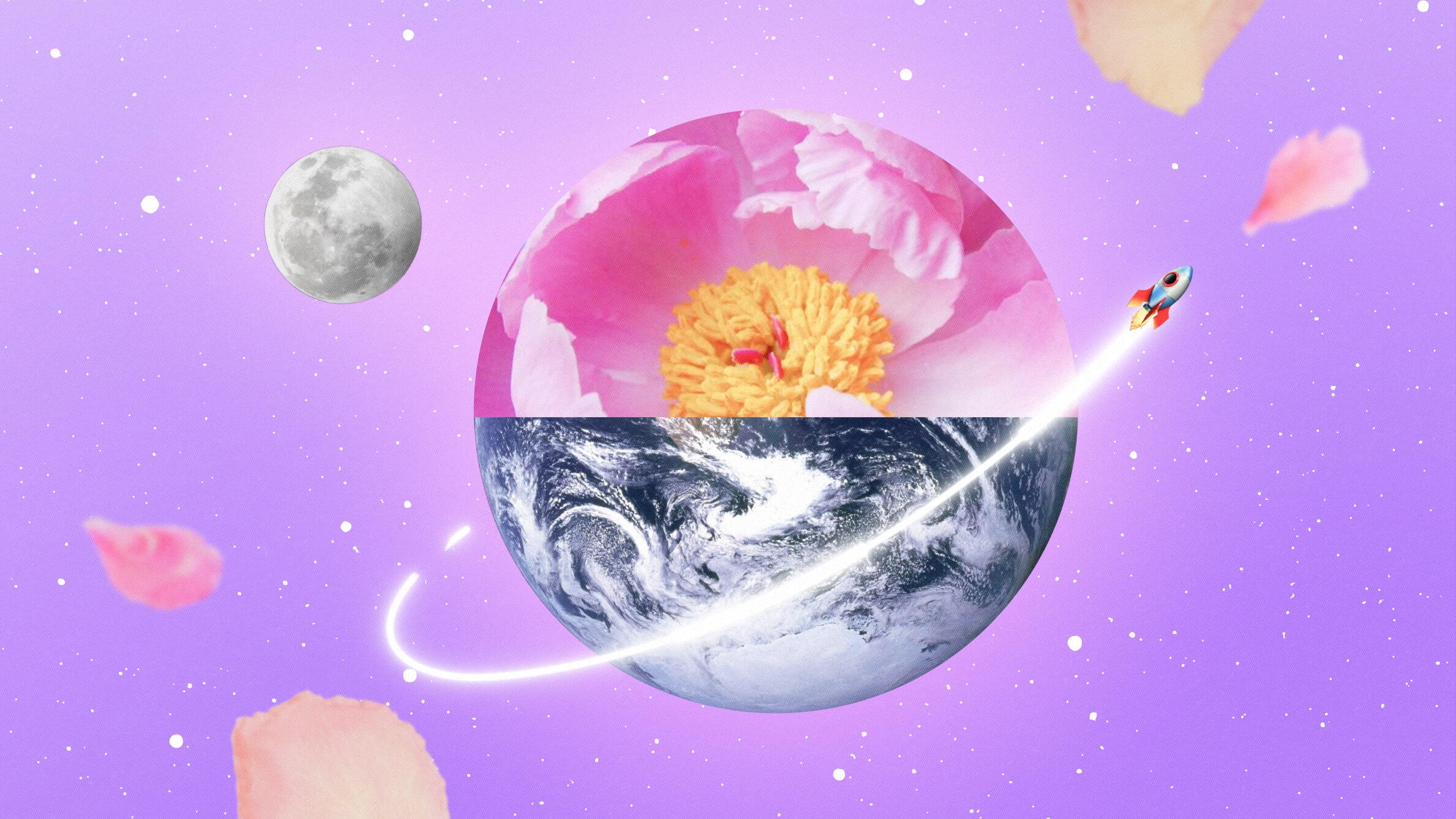 Peony season around the world