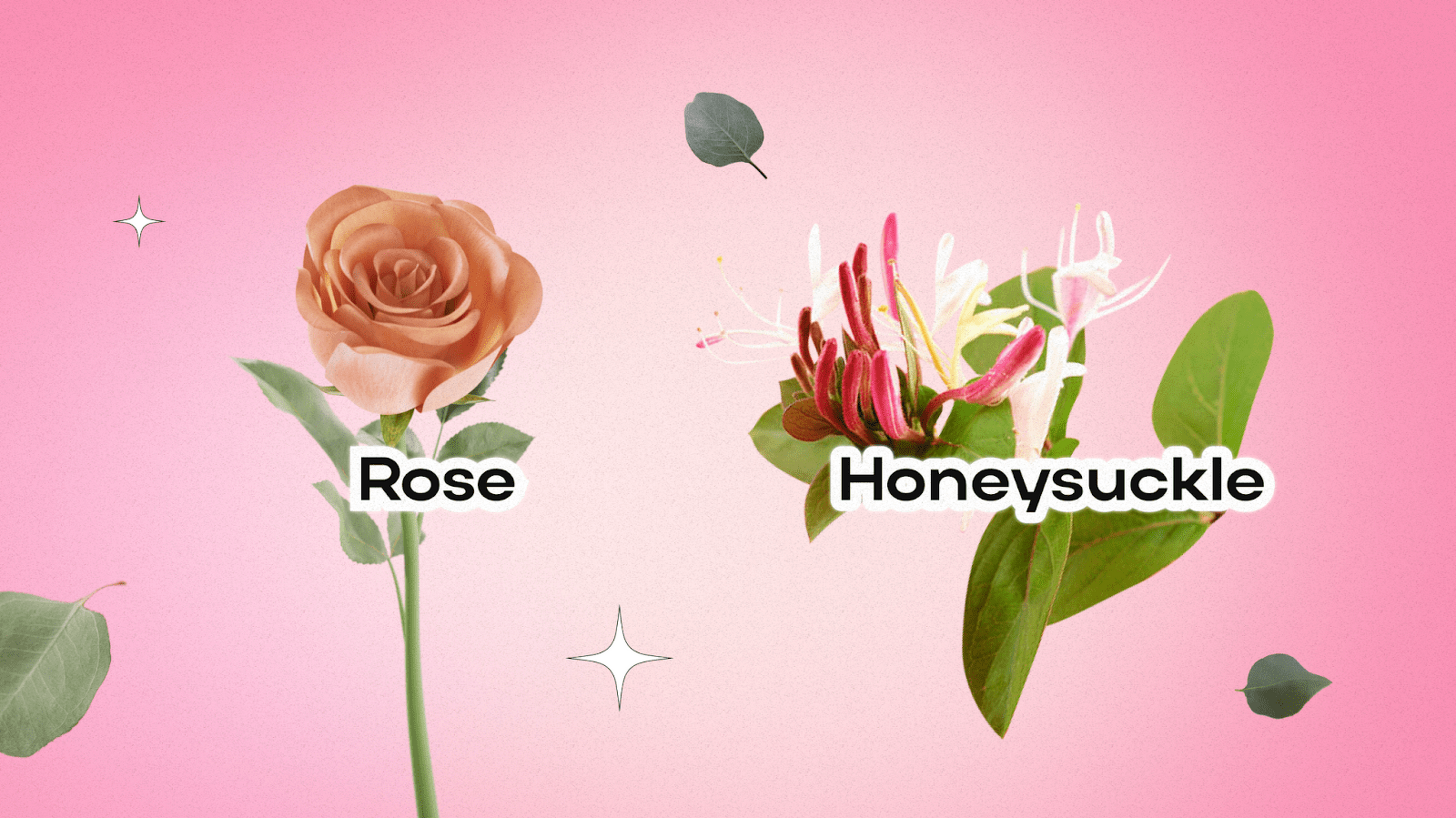 Birth Flowers for June