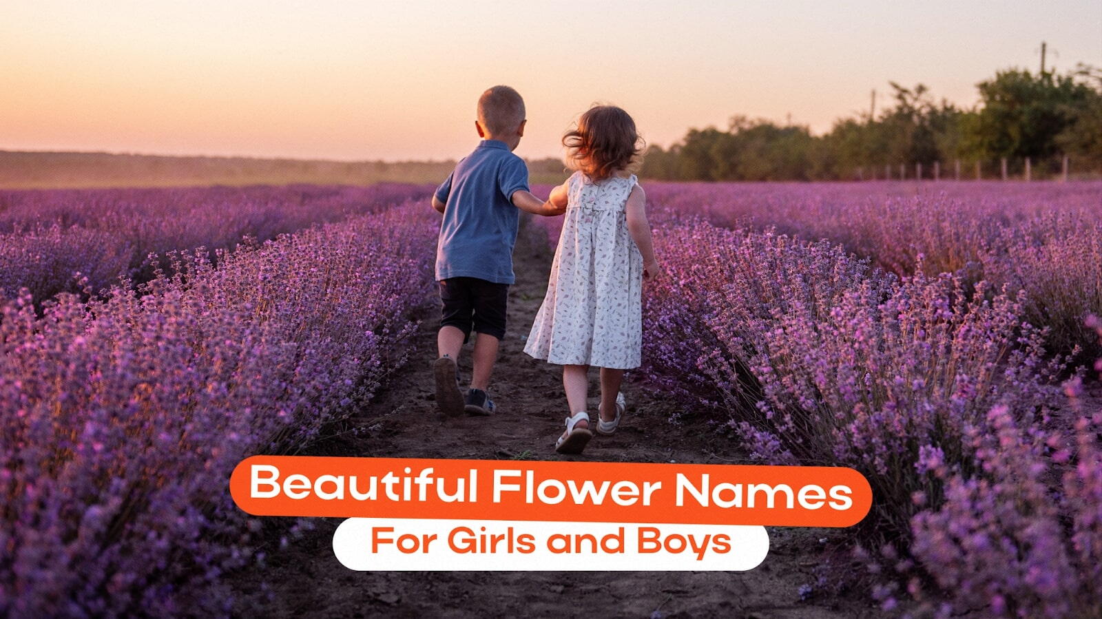 Beautiful Flower Names For Girls and Boys