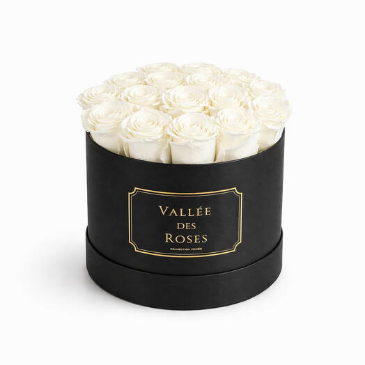 White Preserved Roses