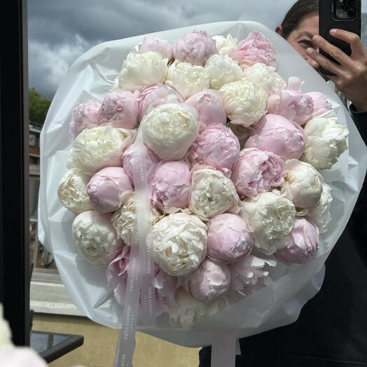 Peony pink white