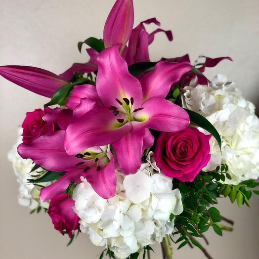 Лилия мечты