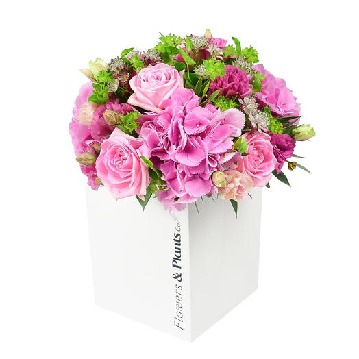 Новое Сияние