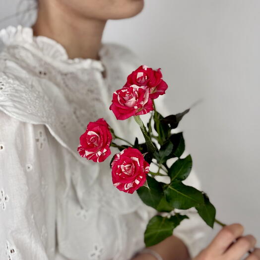 Romantic Red Spray Rose – Small Blooms with Big Impact