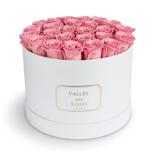 Blush Pink 1 Year Lasting Roses