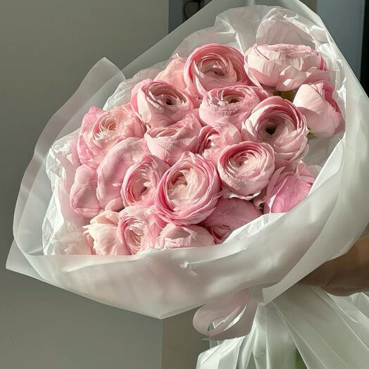 30 Pink Ranunculus