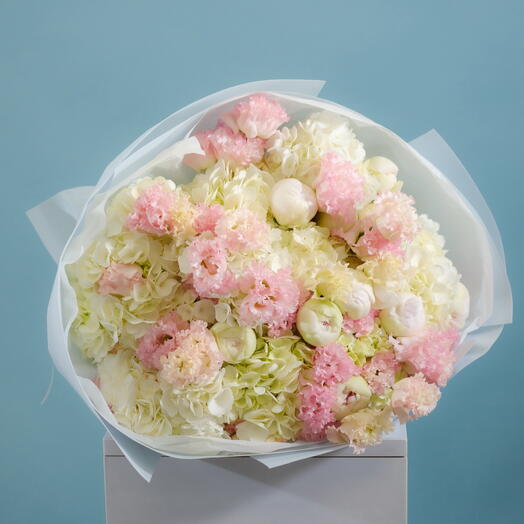 Peony blush