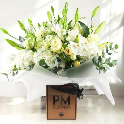 Odin – The Power of Purity in Bloom