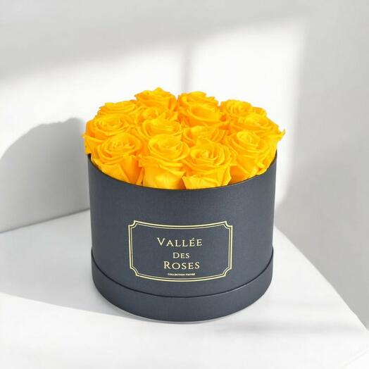 1 Year Lasting Roses