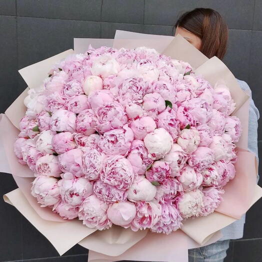 150 pink peonies
