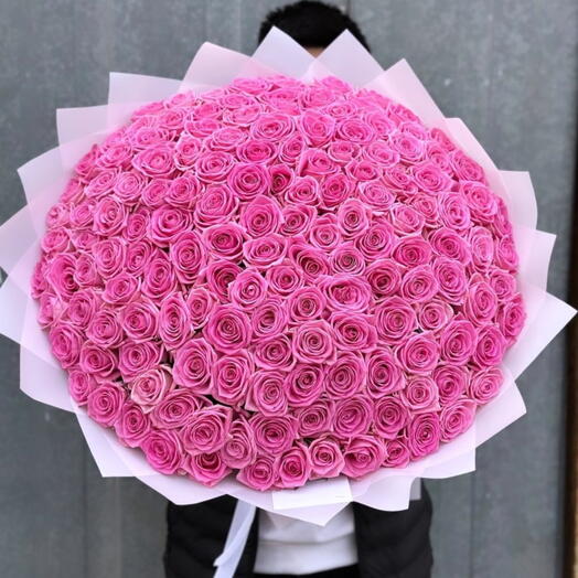 100 pink roses