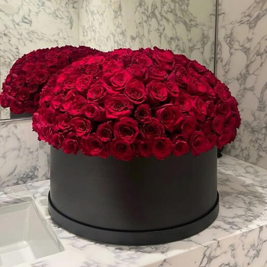 Фирменный стиль Bosii — Noi