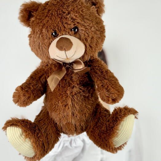 Small Brown Teddy Bear