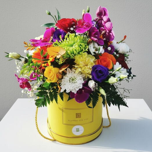 Счастливая шляпная коробка