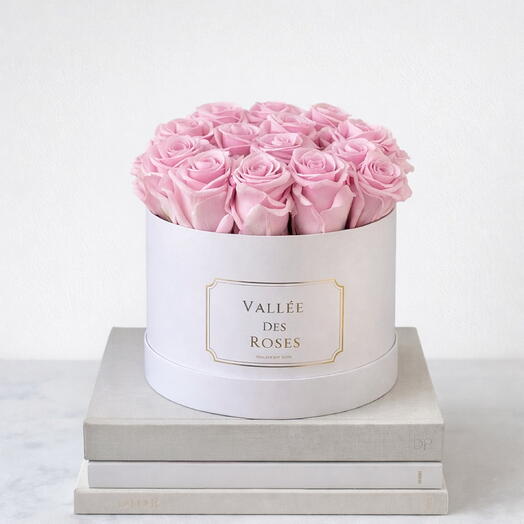 Light Pink Preserved Roses