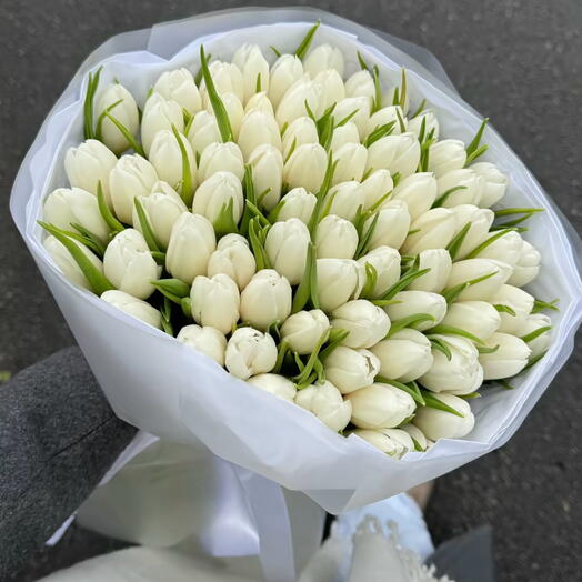 50 белых тюльпанов