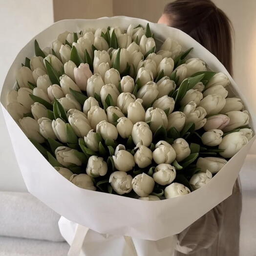 101 White Tulips