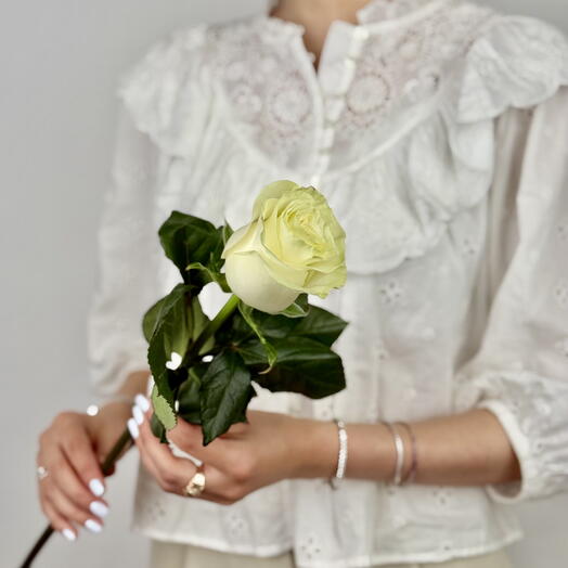 Classic White Rose for Your Handmade Bouquet - Timeless Charm