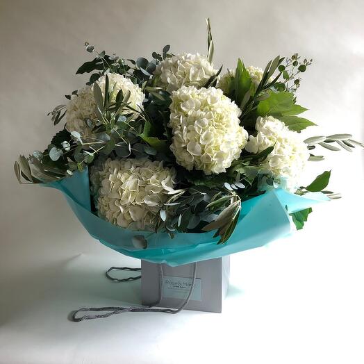 Белая гортензия