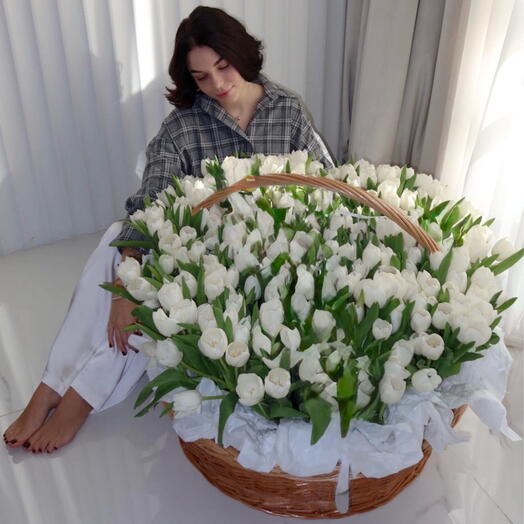 Корзина с 250 белыми тюльпанами