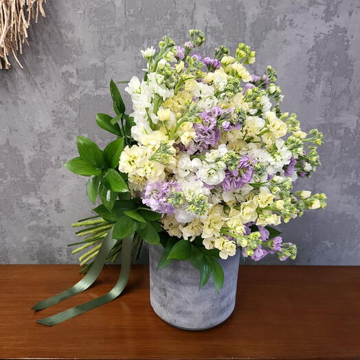 Смесь маттиолы