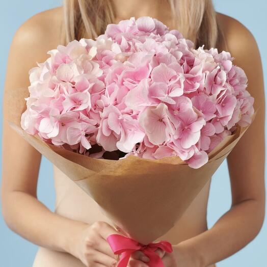 3 Premium hydrangeas