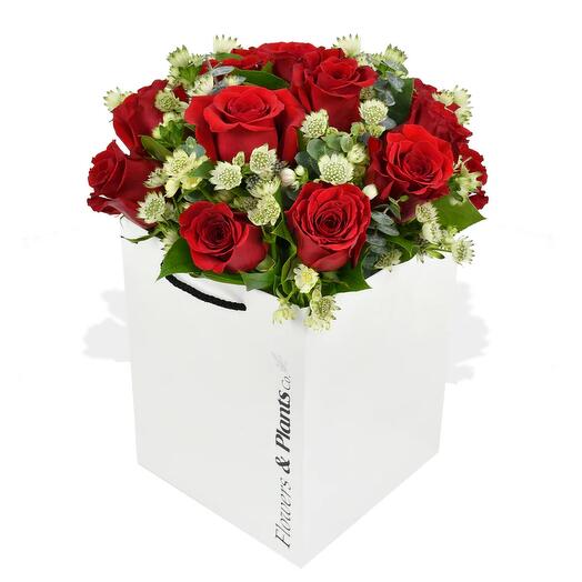 Эликсир любви