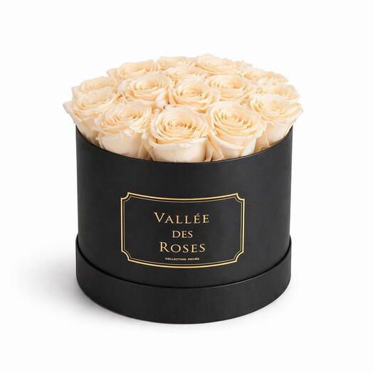 Cream Preserved Roses Box