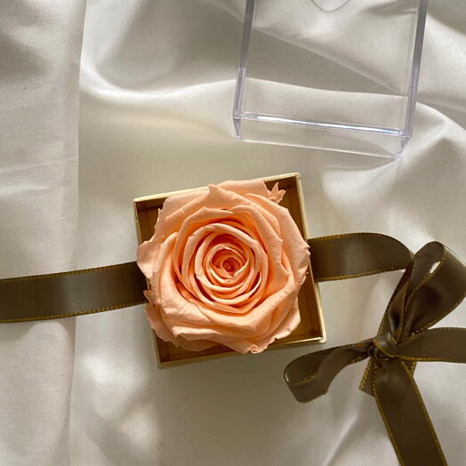 Peach Rose in a box