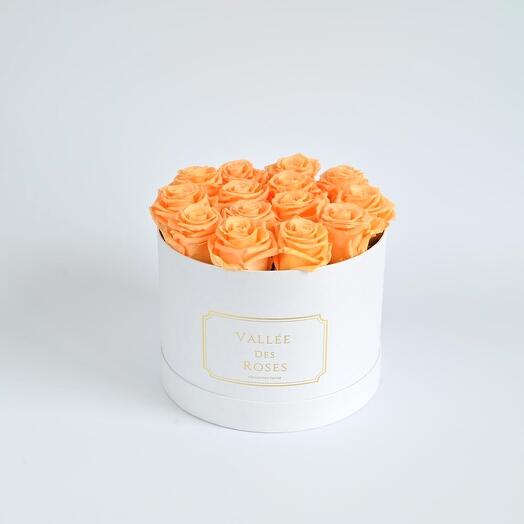 Peach Preserved Roses